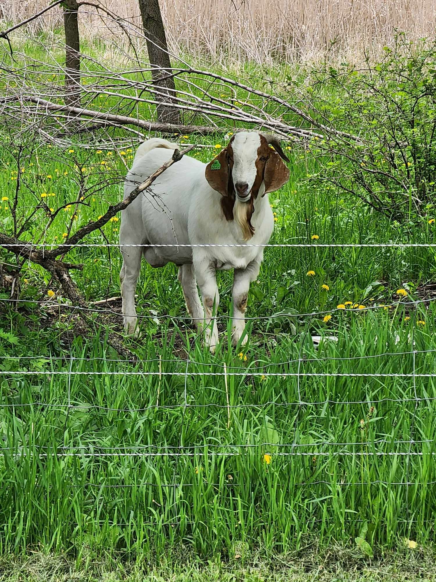 Image placeholder indicating a missing photo, often used in web design and content management systems.